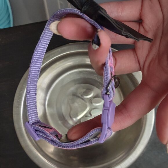 Cat and Dog Pet Bowls Metal and Ceramic, Licking Mats and Bat Collar - Picture 9 of 15